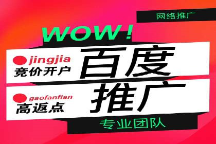 网络营销实战：成功竞价推广案例分析